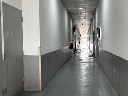 Premier @ Kaki Bukit (D14), Factory #518755531